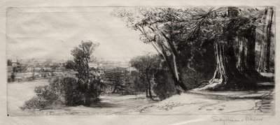 Early Morning, Richmond Park by Francis Seymour Haden