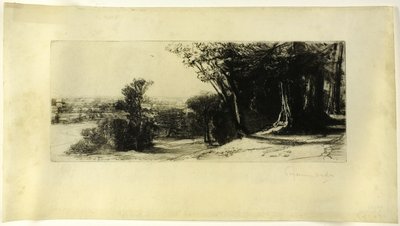 Early Morning, Richmond Park by Francis Seymour Haden