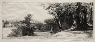 Early Morning, Richmond Park by Francis Seymour Haden