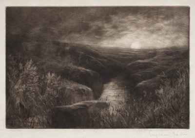 Haunt of the Mosquito by Francis Seymour Haden
