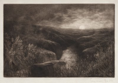 Haunt of the Mosquito by Francis Seymour Haden