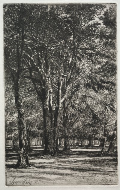 Kensington Gardens (The Large Plate) by Francis Seymour Haden