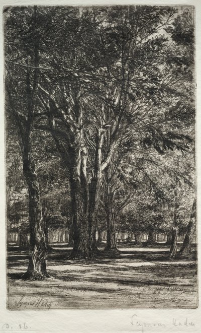 Kensington Gardens (The Larger Plate) by Francis Seymour Haden
