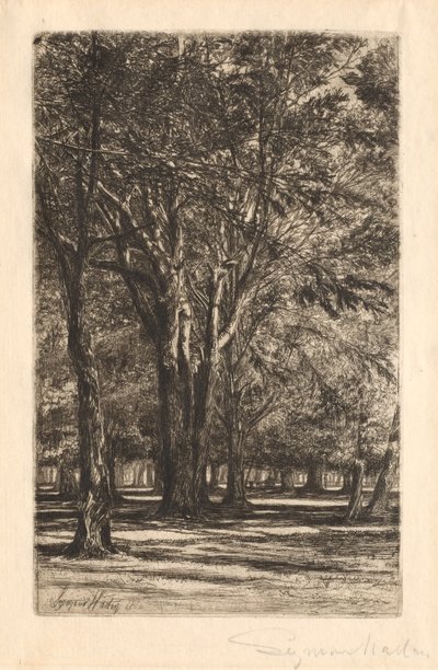 Kensington Gardens, No. 2 (Large Plate) by Francis Seymour Haden