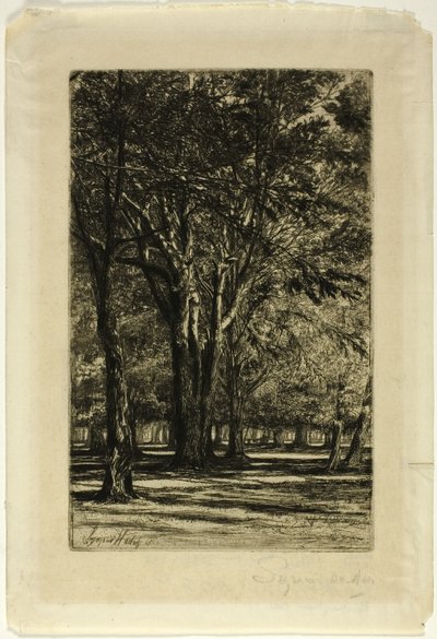 Kensington Gardens, No. II (large plate) by Francis Seymour Haden