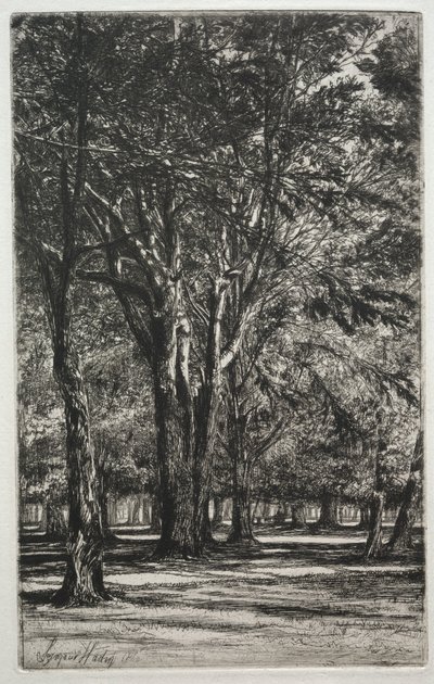 Kensington Gardens The Large Plate, 1860 by Francis Seymour Haden