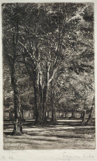 Kensington Gardens The Larger Plate by Francis Seymour Haden