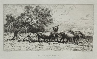 Team of Oxen by Francis Seymour Haden
