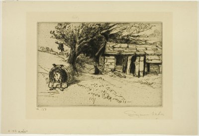The Cabin by Francis Seymour Haden