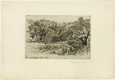 The Herd by Francis Seymour Haden