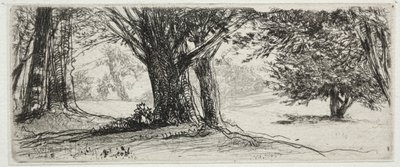The Holly Field by Francis Seymour Haden