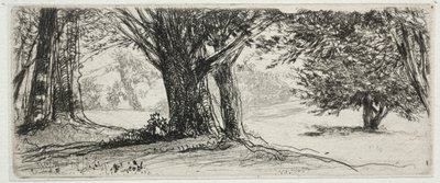 The Holly Field by Francis Seymour Haden