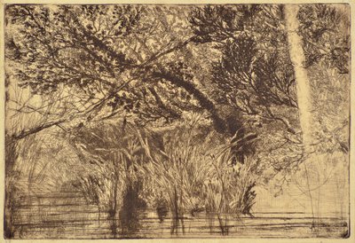 The Mouth of a Brook No.1 by Francis Seymour Haden