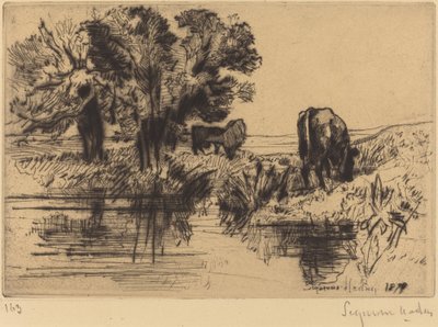 The Three Cows by Francis Seymour Haden