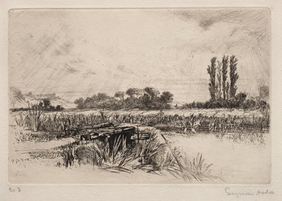 Water Meadow by Francis Seymour Haden