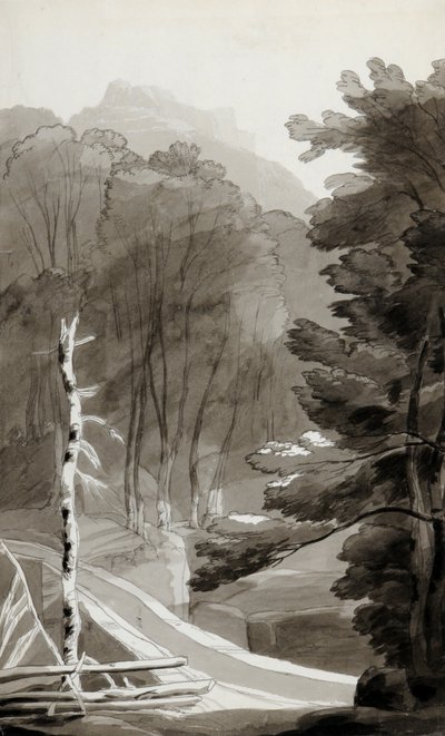 Panten Bruck by Francis Towne
