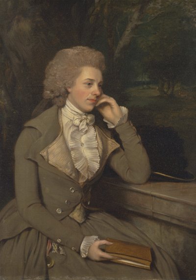Mrs Stevens by Francis Wheatley