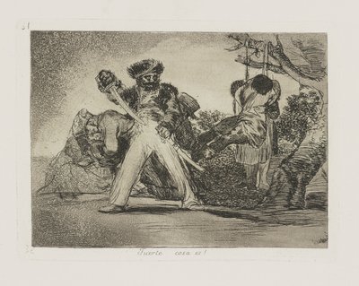 Fuerte cosa es! (That) by Francisco de Goya