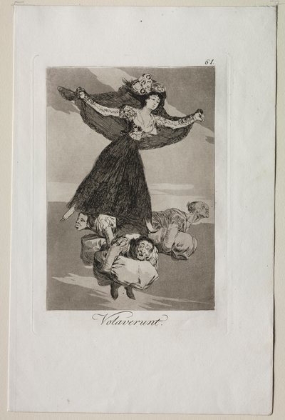 Caprichos: They Have Flown by Francisco de Goya