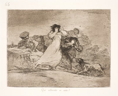 What Does This Confusion Mean? (65) by Francisco de Goya