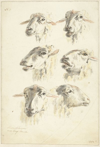 Study Sheet with Six Sheep Heads by Franciscus Andreas Milatz (attributed to)