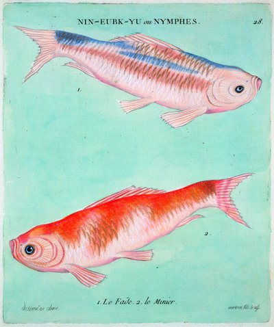 Chinese Goldfish by Francois Nicolas Martinet
