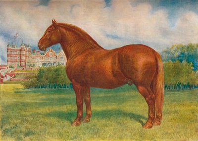 Suffolk Sire Prince Wedgwood by Frank Babbage