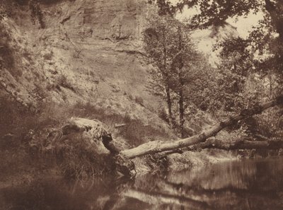Riverbank, c. 1855 by Frank Chauvassaigne