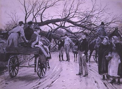 The Fallen Tree by Frank Dadd