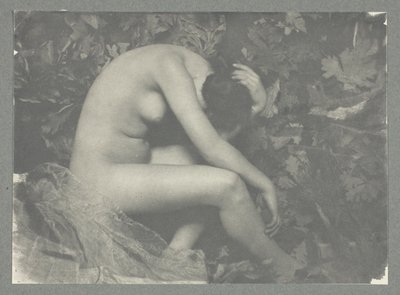 The Cicada by Frank Eugene
