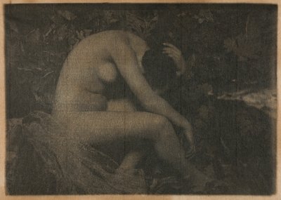 The Cicada by Frank Eugene