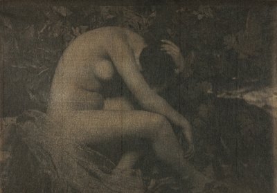 The Cicada, 1898 by Frank Eugene
