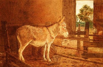 A Brown Study by Frank Goodwin
