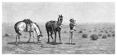Nothing in Sight, 1886 by Frank P. Mahony
