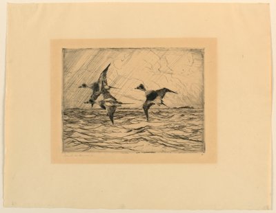 Old Squaws by Frank Weston Benson