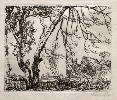 Apple Tree by Frank Wilcox