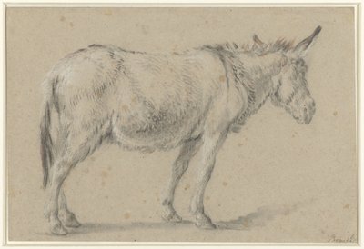 Standing Donkey, Facing Right by François Boucher (possibly)