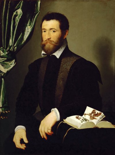 Portrait of Pierre Quthe, Apothecary by François Clouet