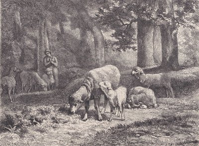 The Sheep, from Magasin Pittoresque by François Rouget