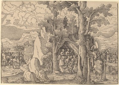 Saint John the Baptist Preaching by Frans Crabbe van Espleghem