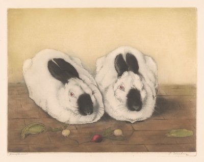 Two Himalayan Rabbits by Frans Everbag (signed by artist)