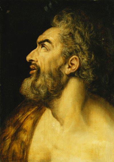 Head of Saint John the Baptist by Frans Floris