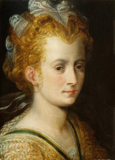 Head of a Young Woman by Frans Floris