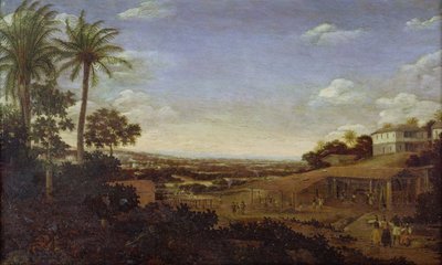 Unknown Image by Frans Post