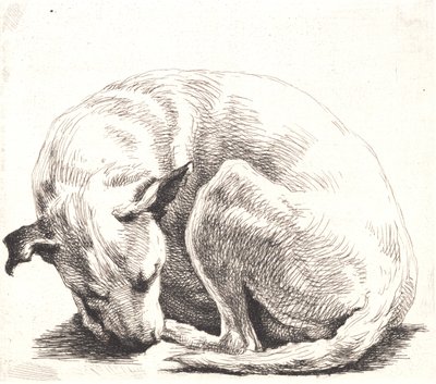 Test Plate: A Dog by Frans Schwartz