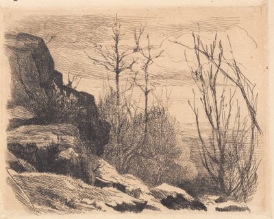 Test Plate: Landscape with Rocks and Trees by Frans Schwartz
