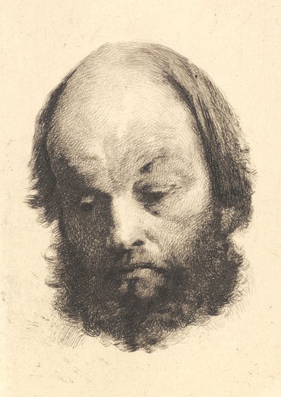 Black-bearded Man, Garibaldi by Frans Schwartz
