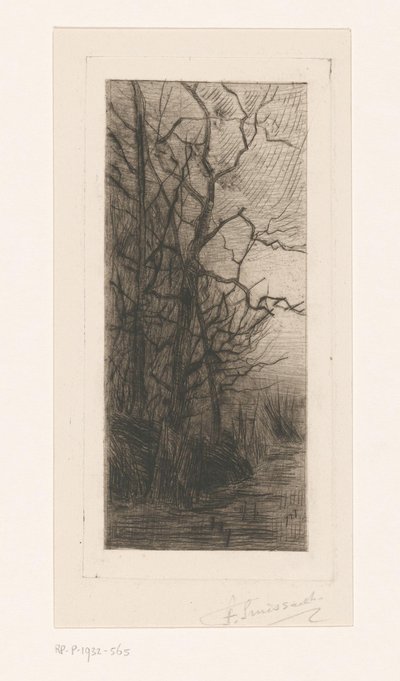 Trees by the Water by Frans Smissaert (signed by artist)