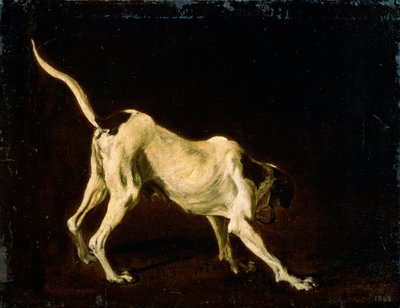 A Dog, 17th Century by Frans Snyders or Snijders