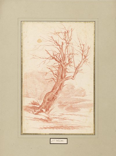 Tree Study by Franz Edmund Weirotter